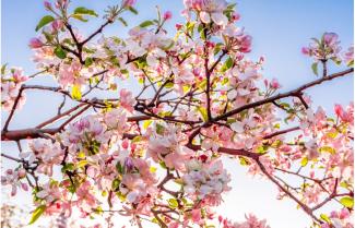 atelier yoga biarritz